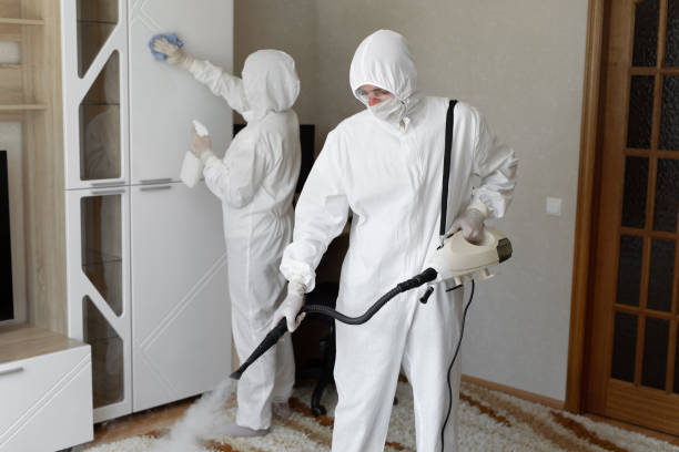 Best Toxic Mold Removal  in Suffield Depot, CT